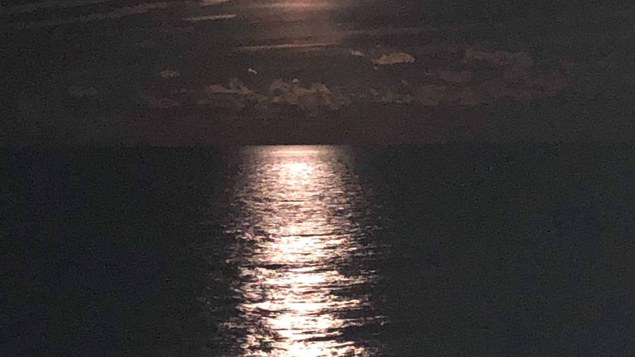 Photo of Others in Stuart