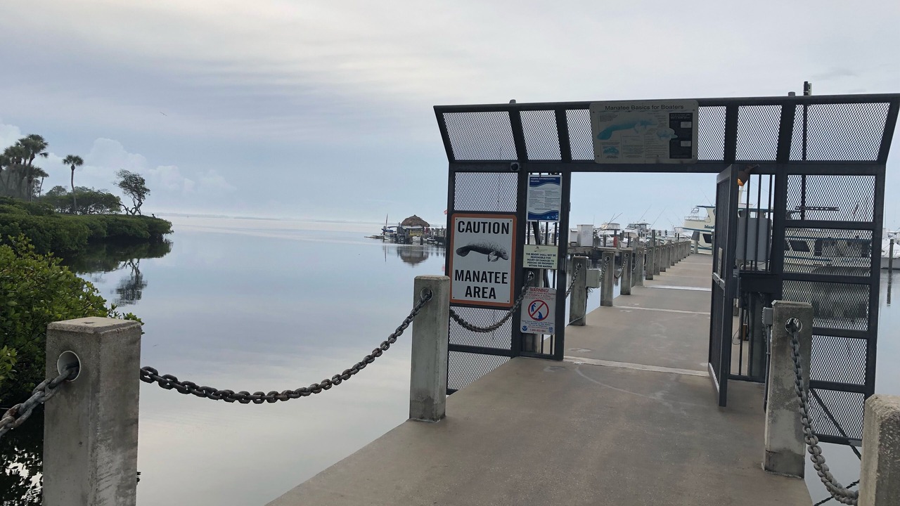 Photo of Others in Stuart