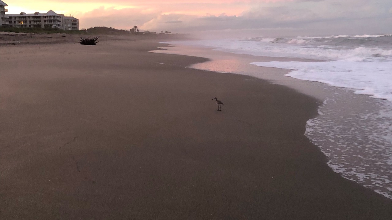 Photo of Others in Stuart
