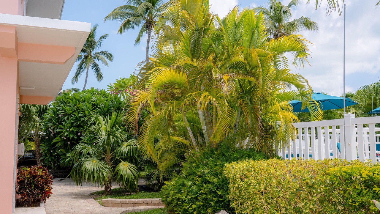 Photo of Outdoor in Long Key