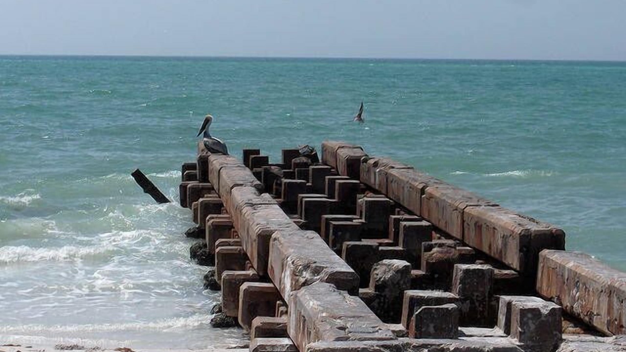 Photo of Others in Siesta Key