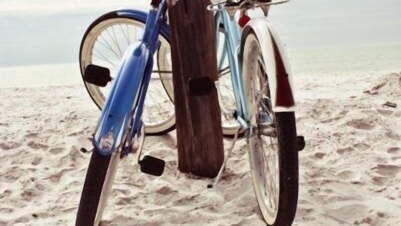Photo of Others in Siesta Key