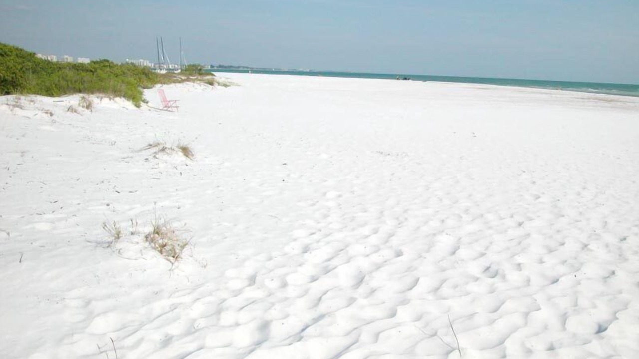 Photo of Others in Siesta Key