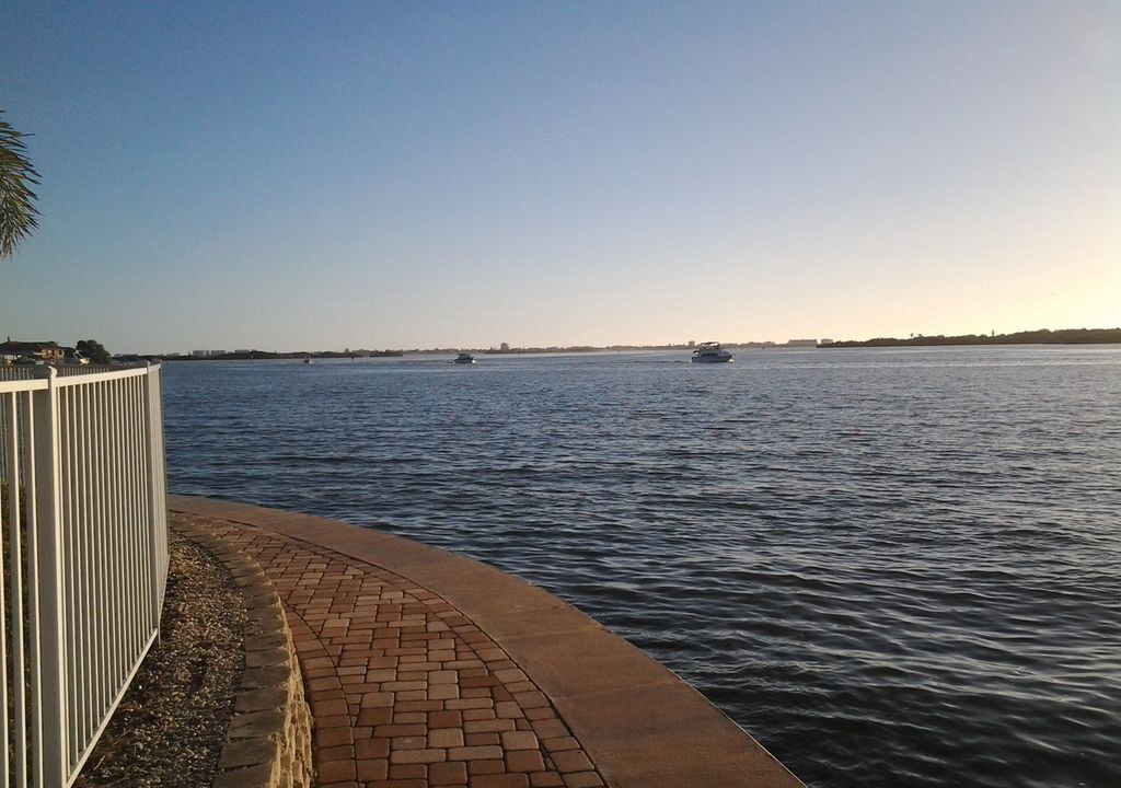 Photo of Others in St. Petersburg - Clearwater
