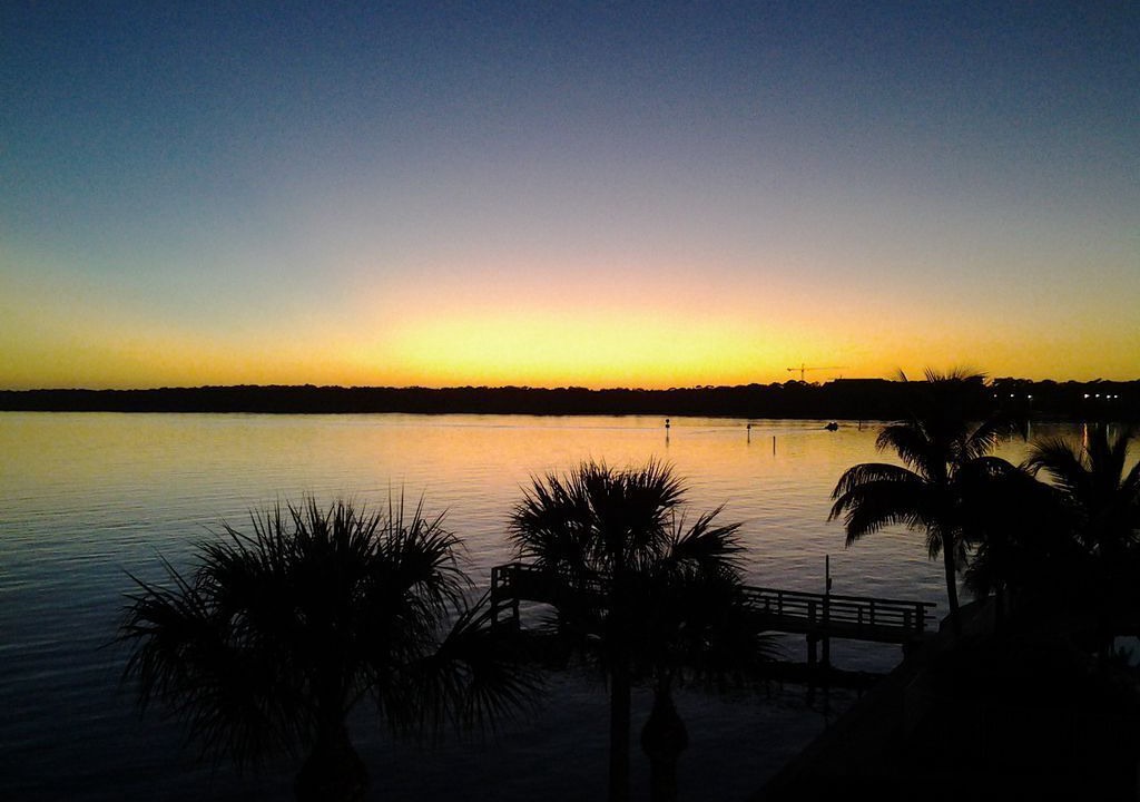 Photo of Others in St. Petersburg - Clearwater