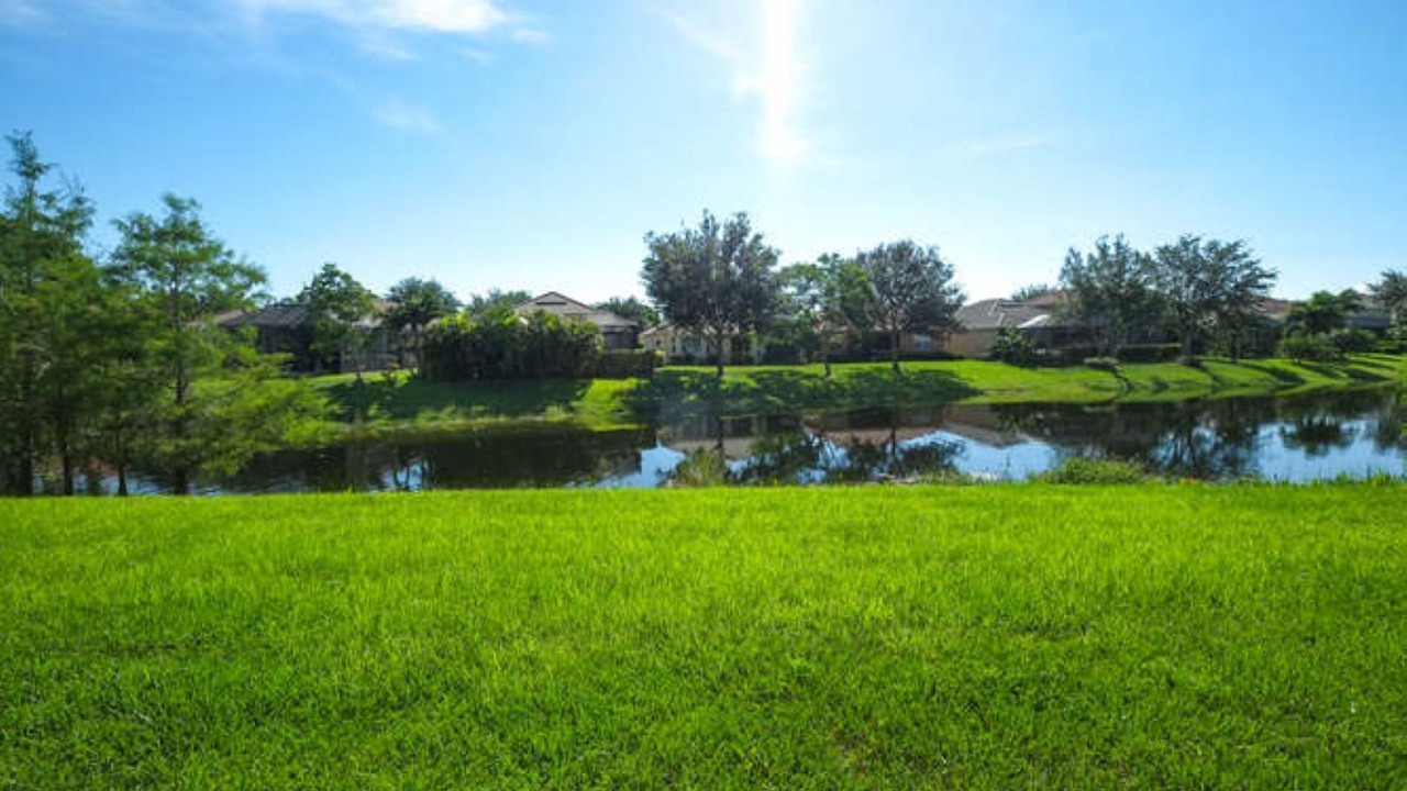 Photo of Others in Estero
