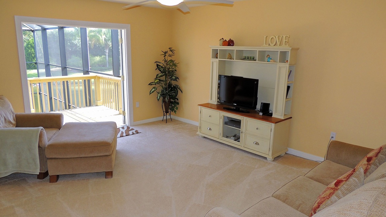 Photo of Livingroom in Braden River
