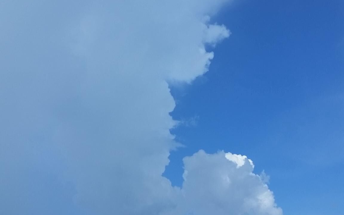 Photo of Others in West Bradenton