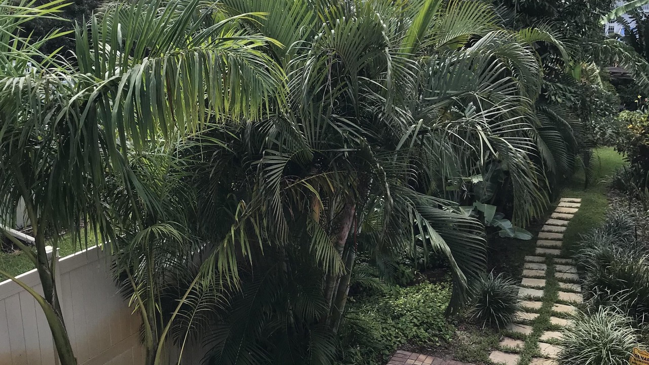 Photo of Outdoor in West Bradenton