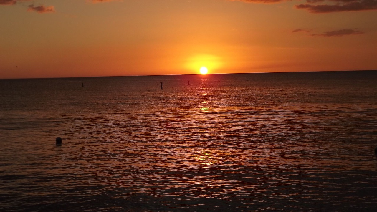 Photo of Others in Bonita Springs