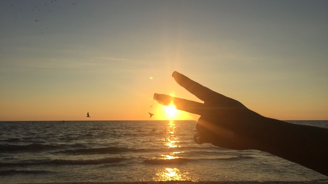 Photo of Others in Bonita Springs