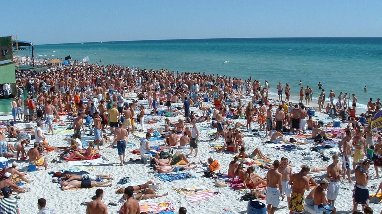 Photo of Others in West Avenue