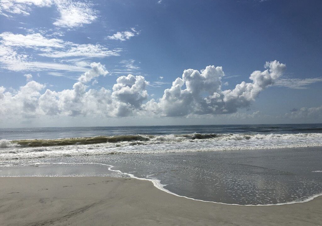 Photo of Others in Amelia City