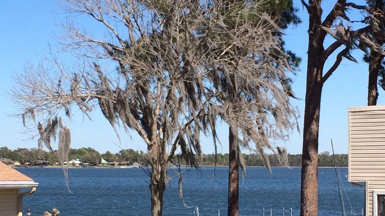 Photo of Outdoor in Summerfield