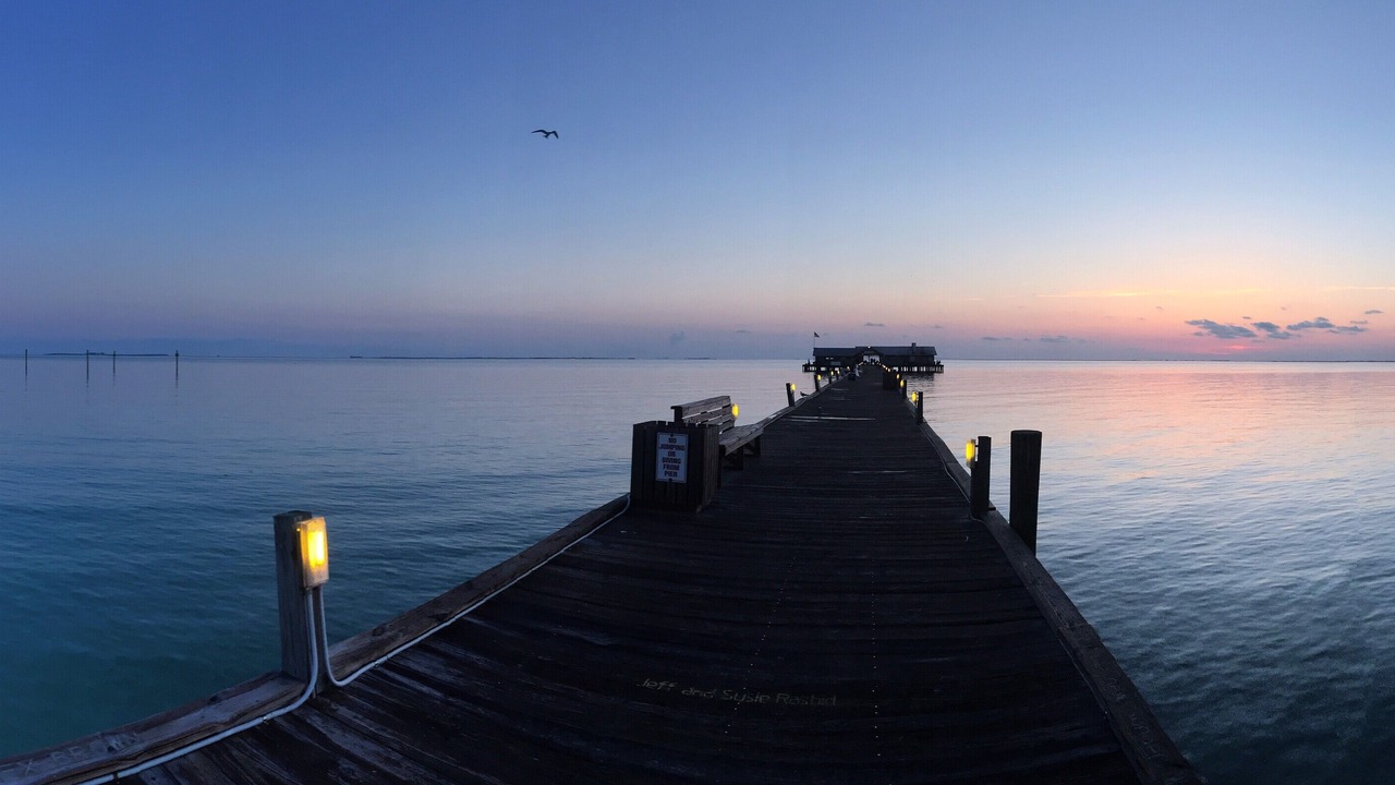Photo of Others in Anna Maria