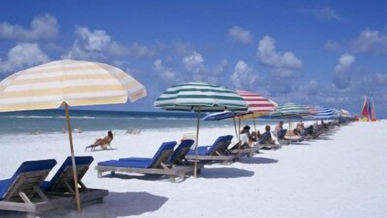 Photo of Others in Siesta Key