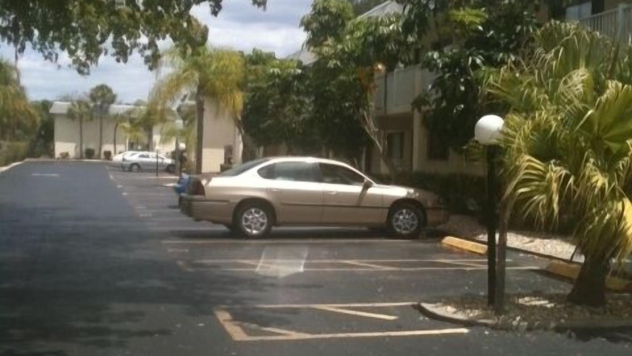 Photo of Others in Siesta Key
