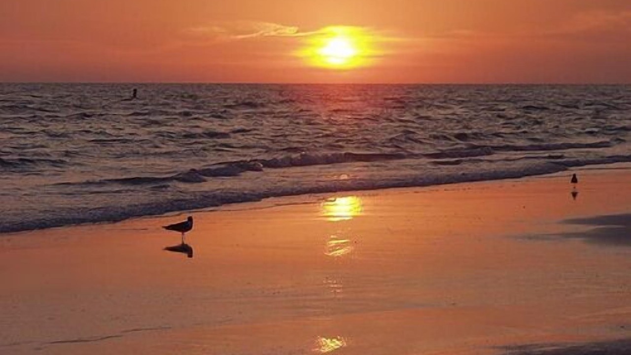 Photo of Others in Siesta Key