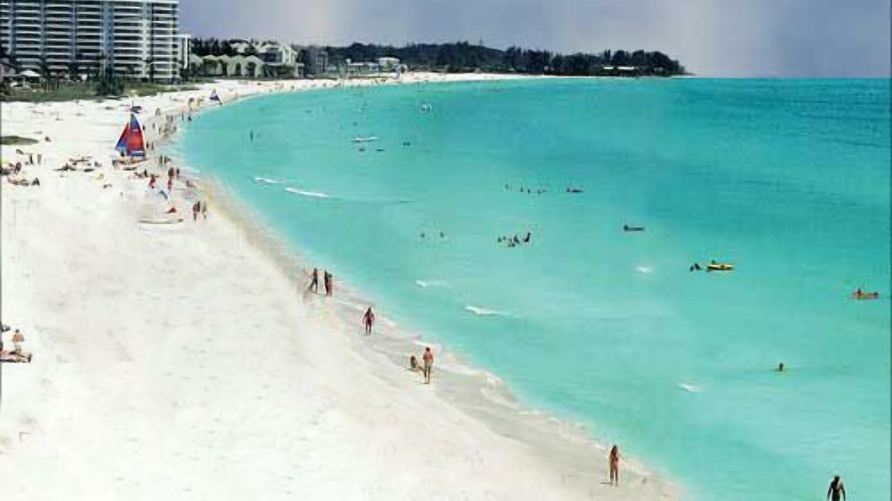Photo of Others in Siesta Key