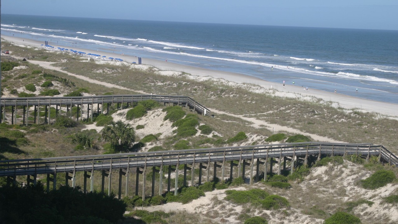Photo of Others in Amelia City