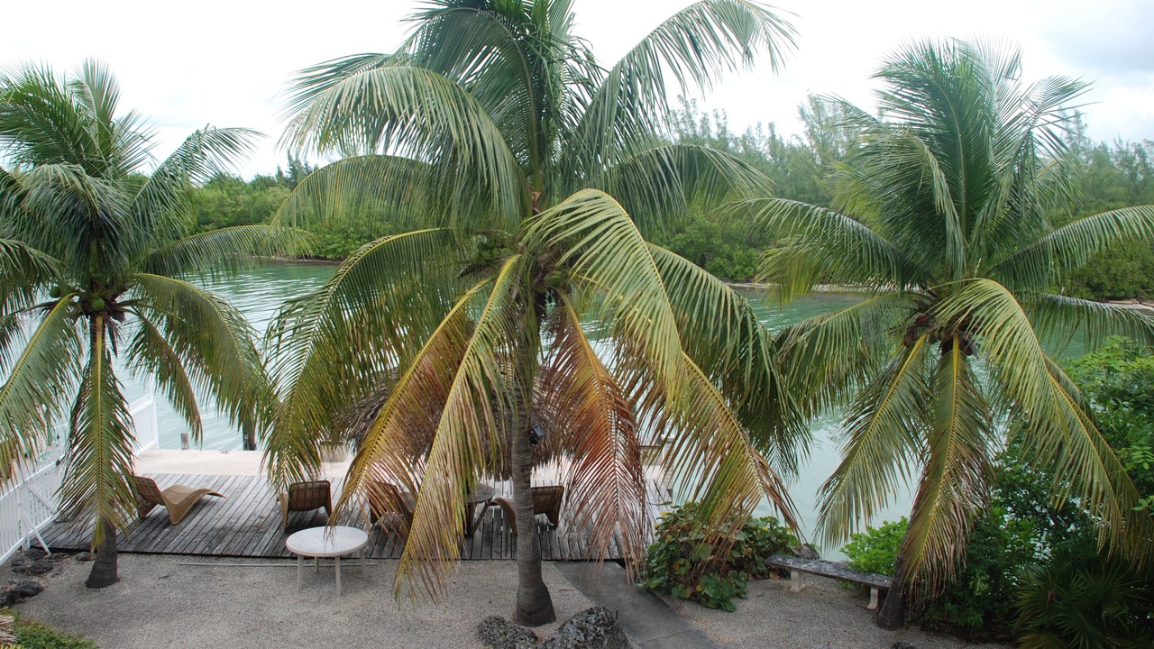 Photo of Outdoor in Key Colony Beach