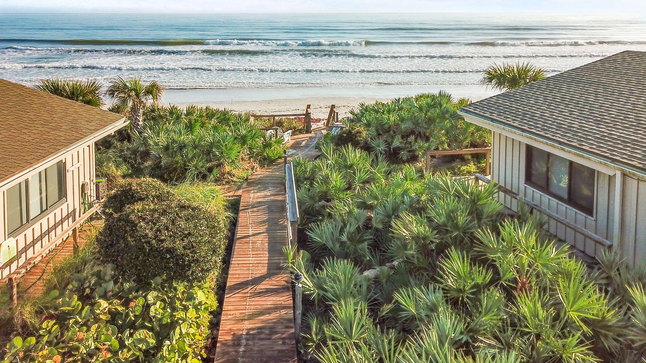 Photo of Others in Sea Dunes