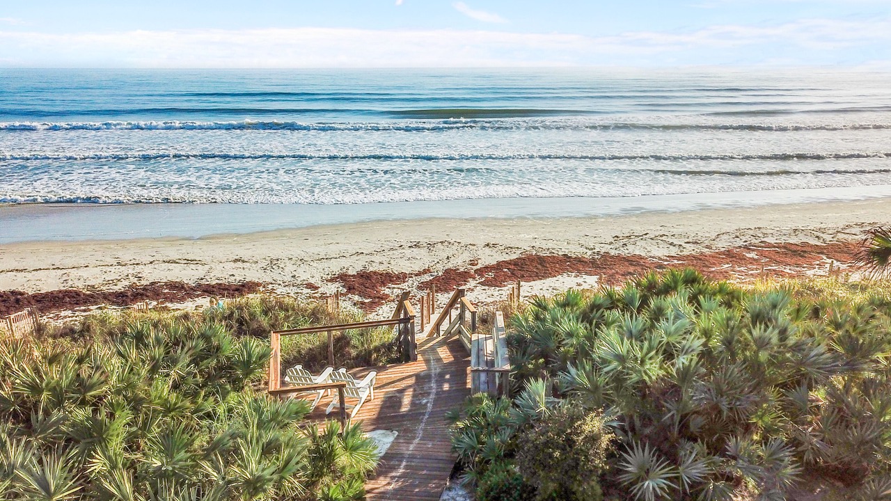 Photo of Others in Sea Dunes