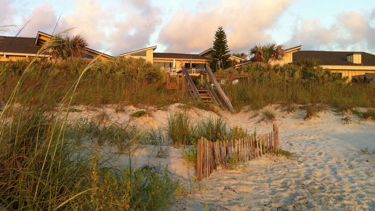 Photo of Others in Sea Dunes