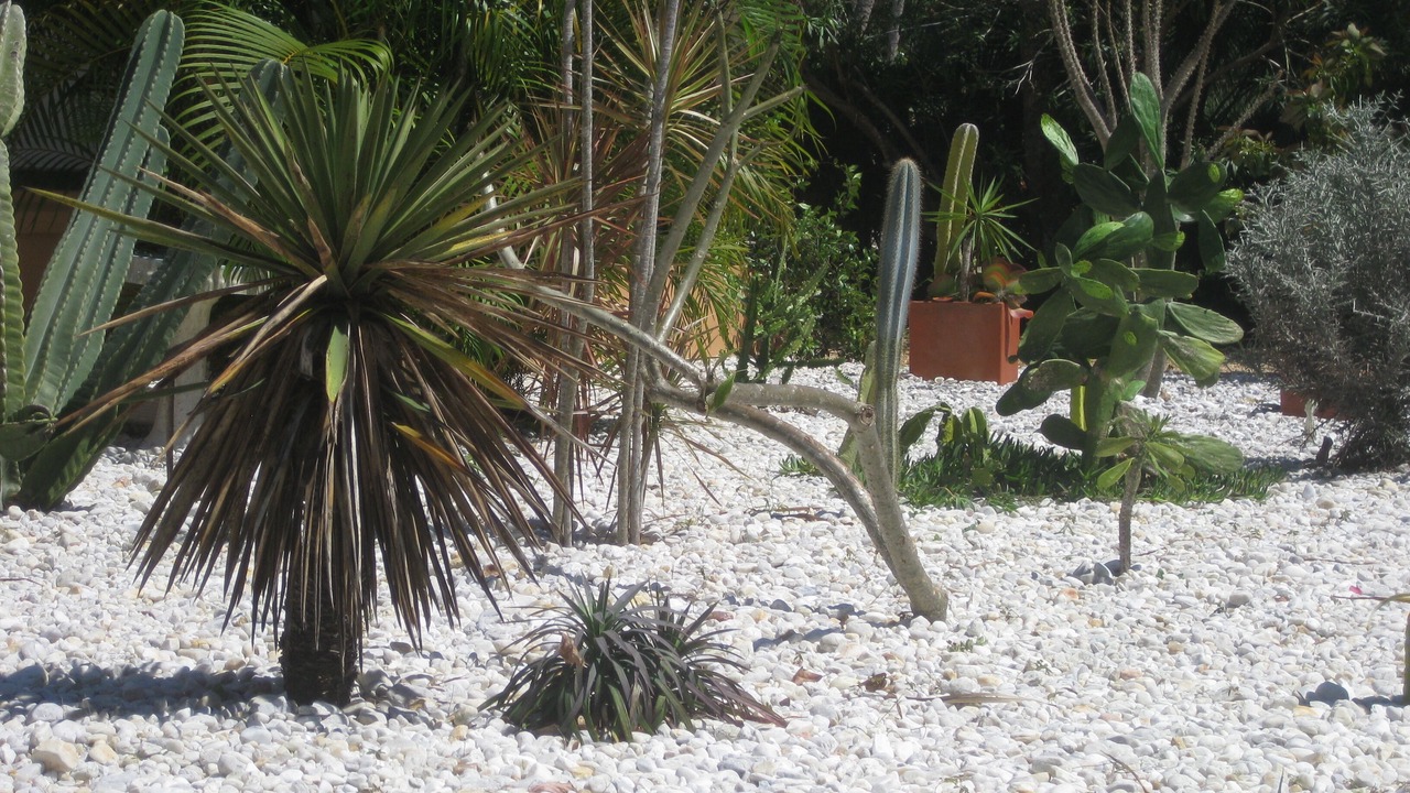 Photo of Others in Siesta Key