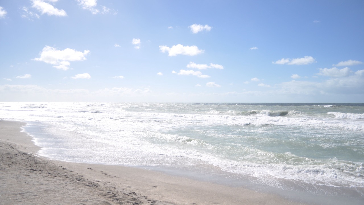 Photo of Others in Siesta Key