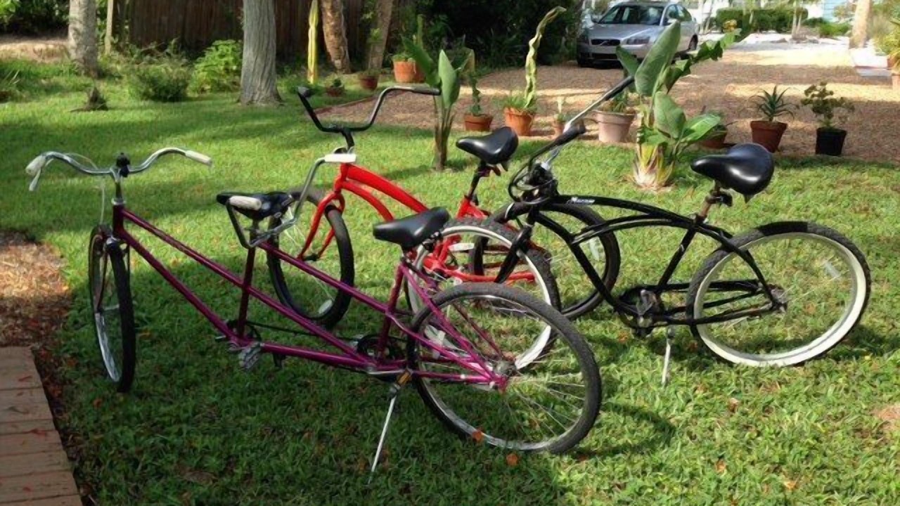 Photo of Outdoor in Siesta Key
