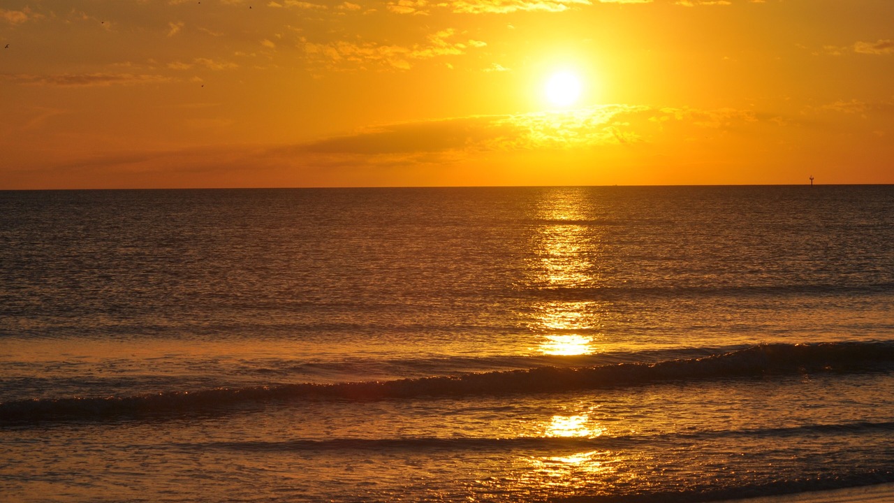 Photo of Others in Siesta Key