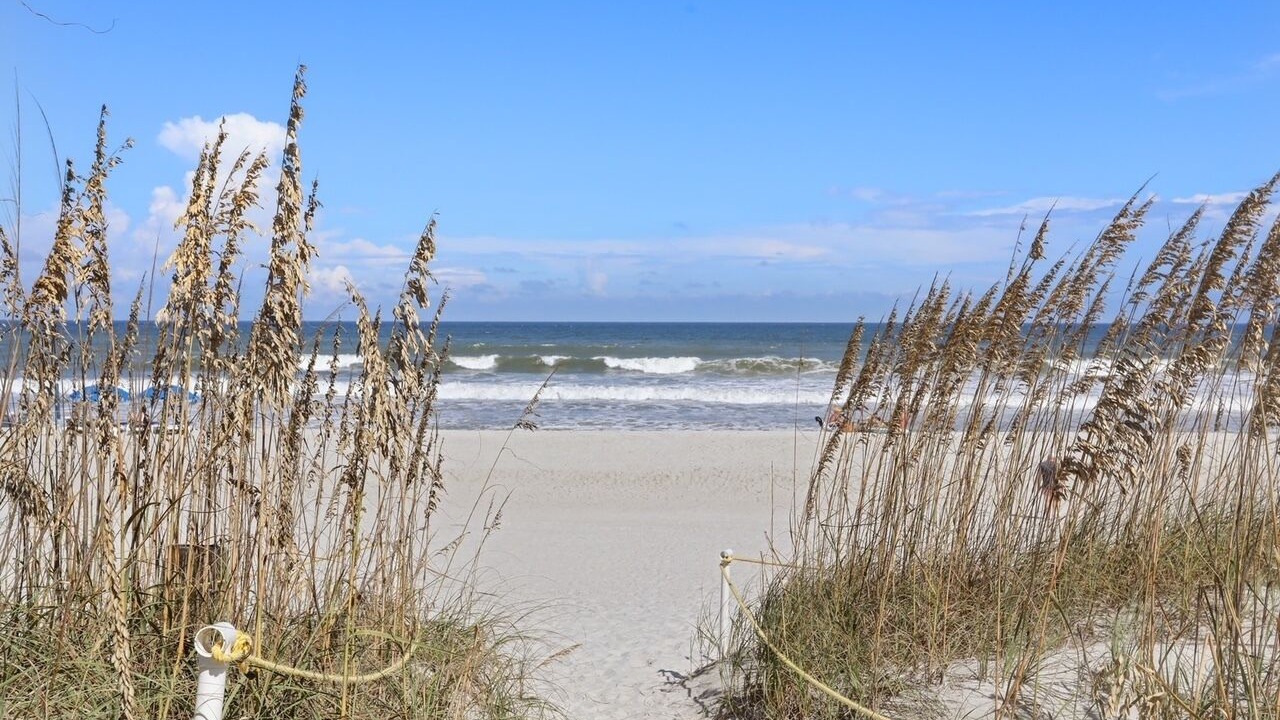 Photo of Others in Jacksonville Beach
