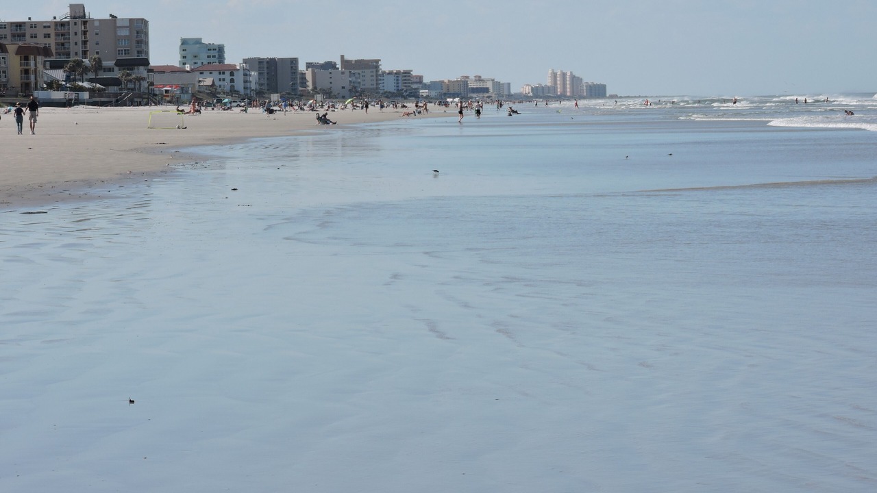 Photo of Others in New Smyrna Beach