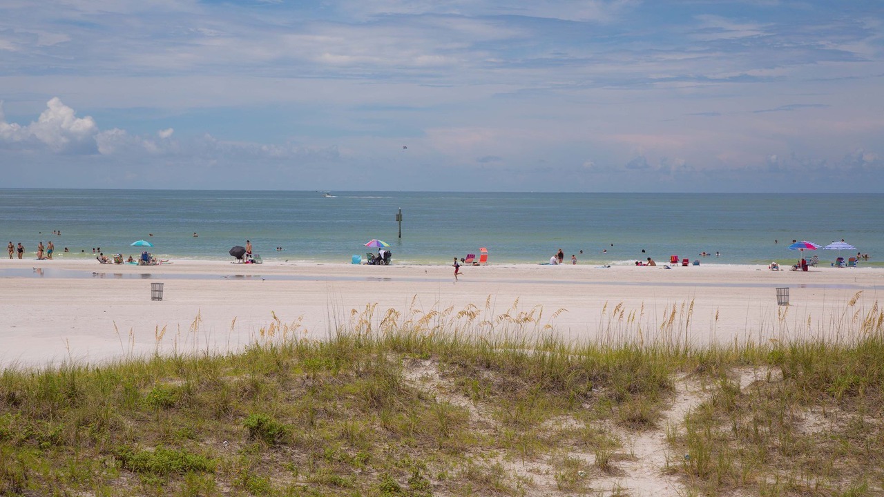 Photo of Others in Clearwater Beach
