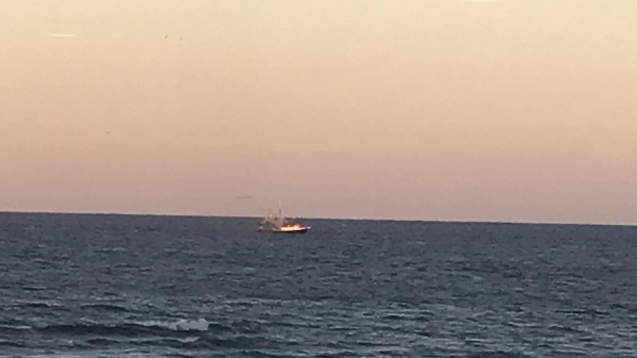 Photo of Others in Daytona Beach Shores