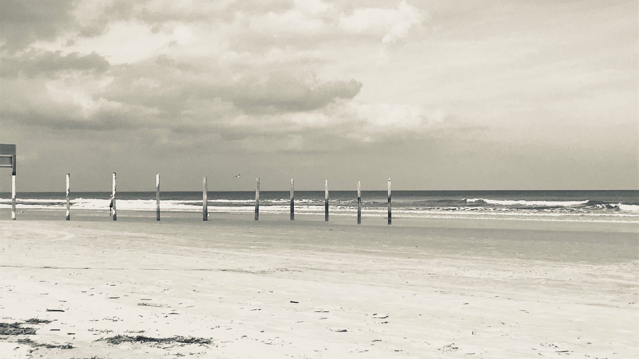 Photo of Others in Daytona Beach Shores
