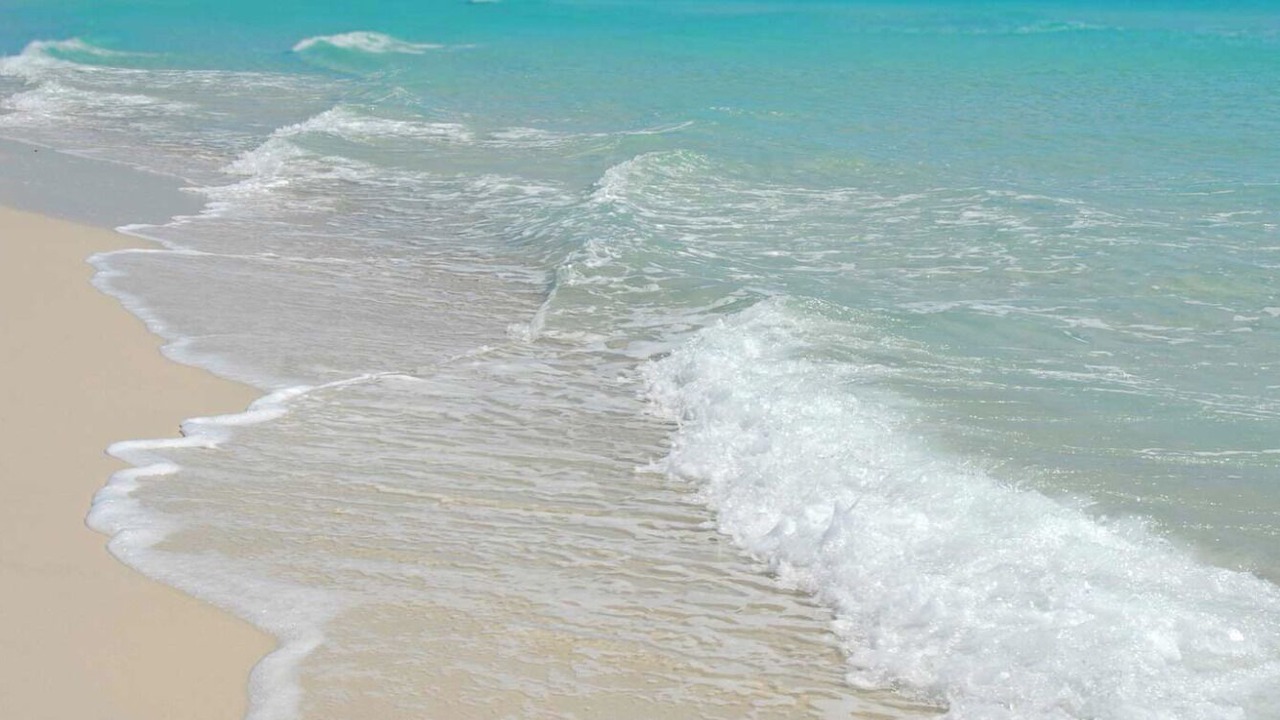 Photo of Others in Daytona Beach Shores