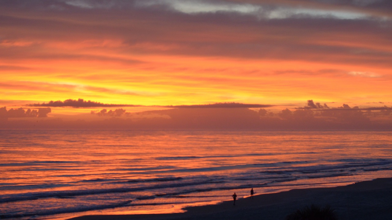 Photo of Others in Daytona Beach Shores