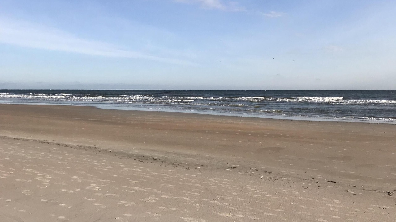 Photo of Others in Daytona Beach Shores