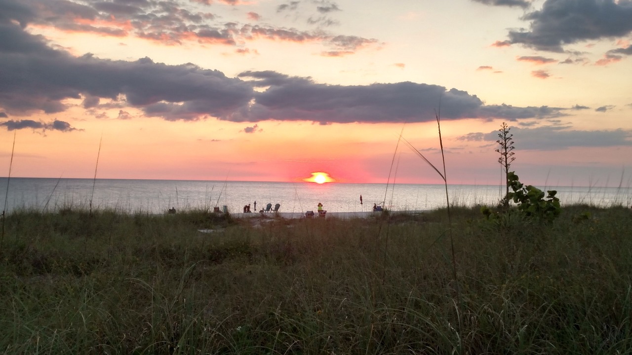 Photo of Others in Nokomis