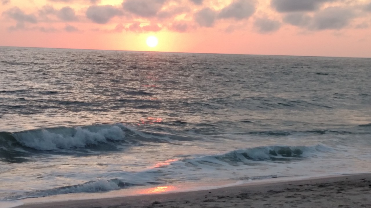 Photo of Others in Nokomis