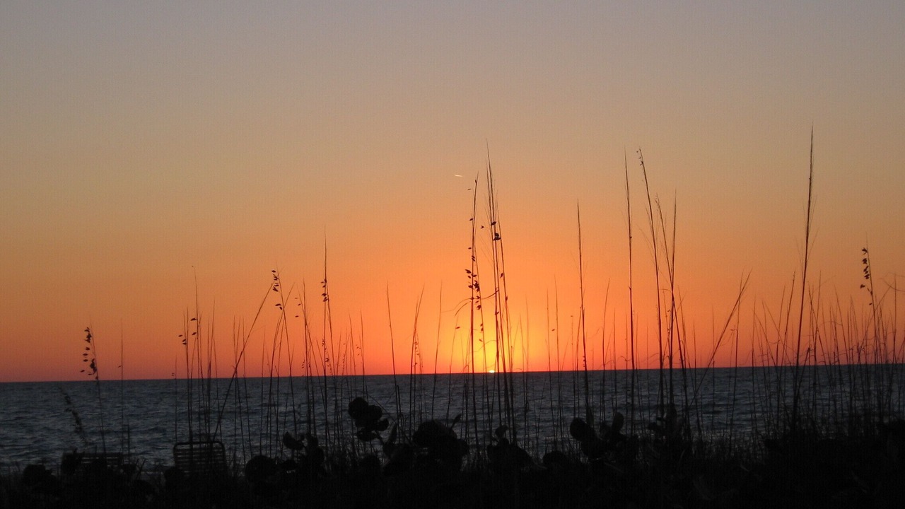 Photo of Others in Nokomis