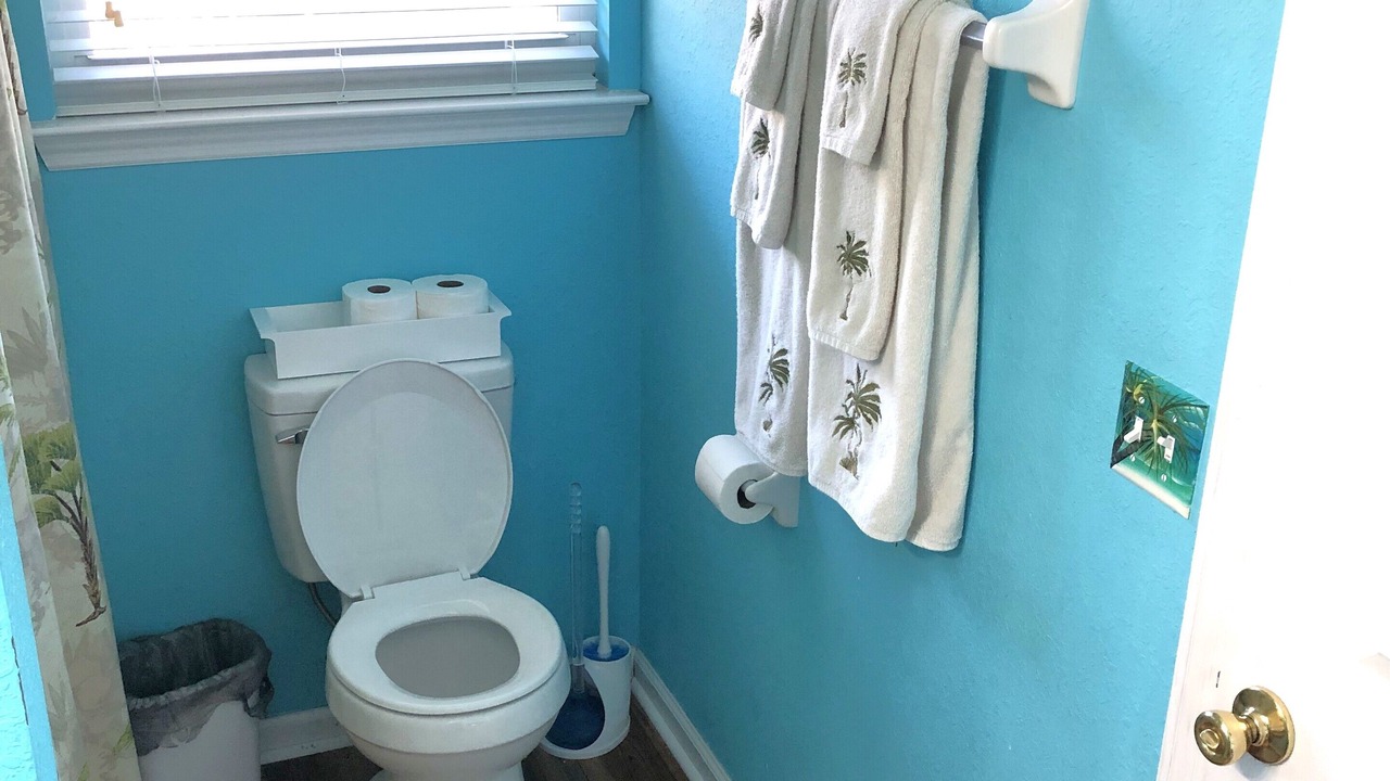 Photo of Bathroom in St. George Island