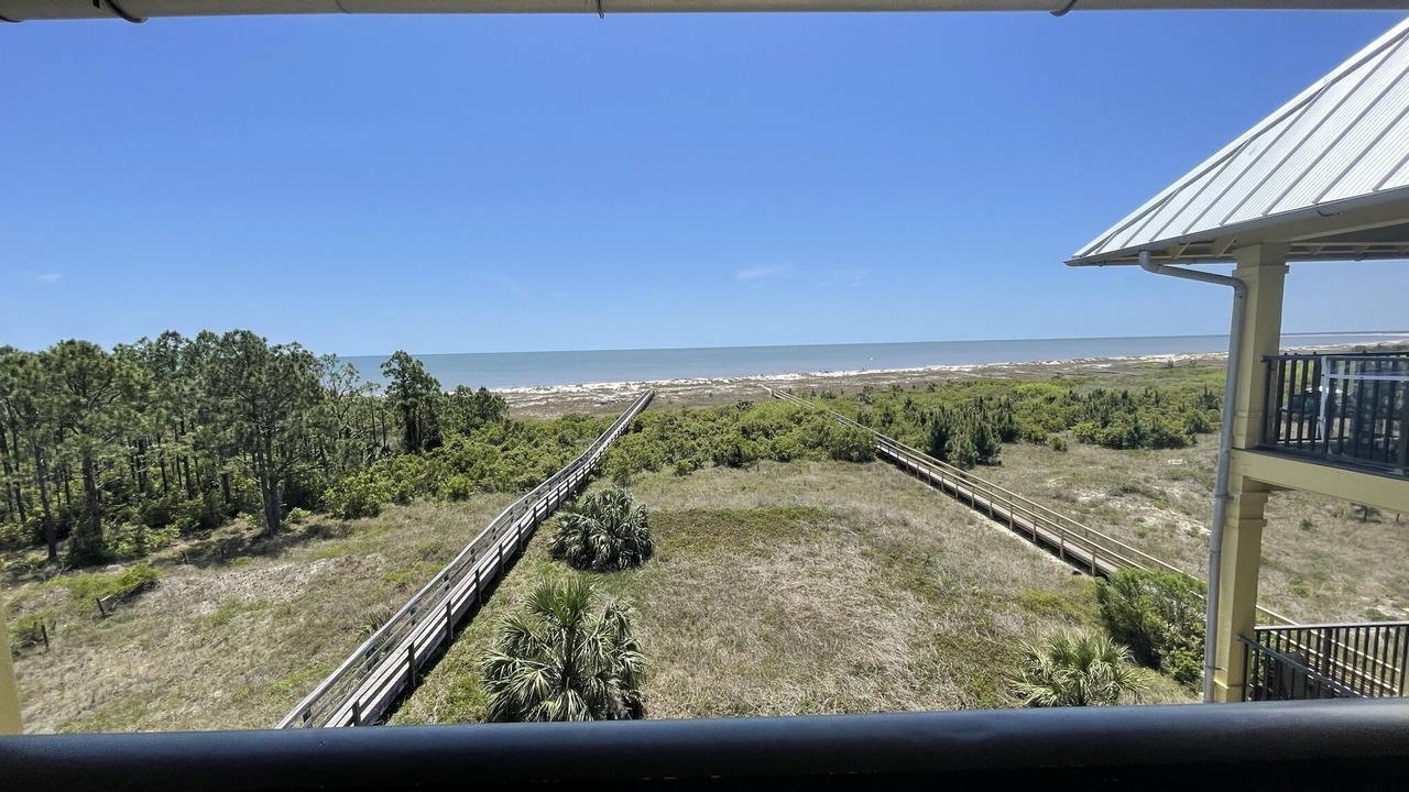 Photo of Outdoor in Cape San Blas