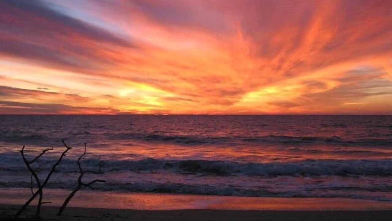 Photo of Others in Captiva