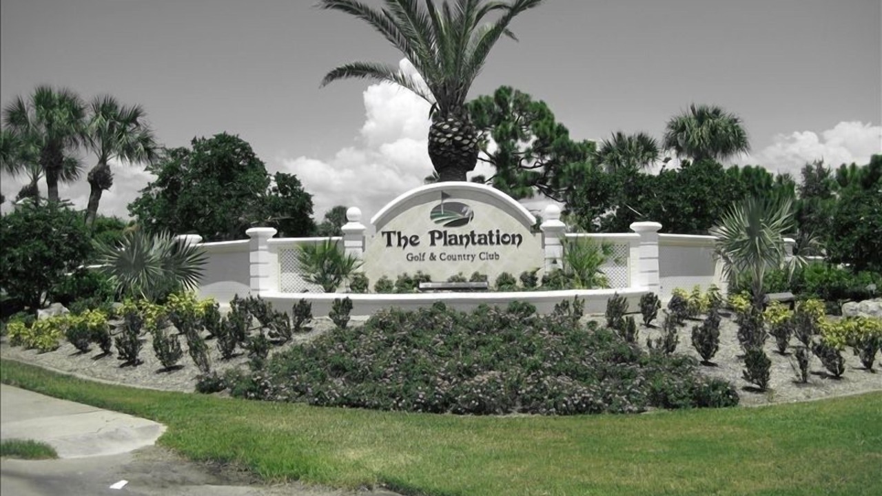 Photo of Others in Plantation