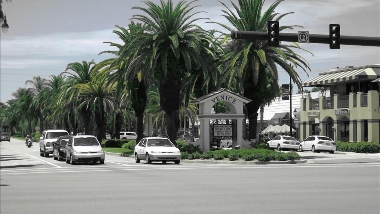 Photo of Others in Plantation