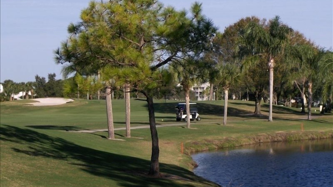 Photo of Others in Plantation