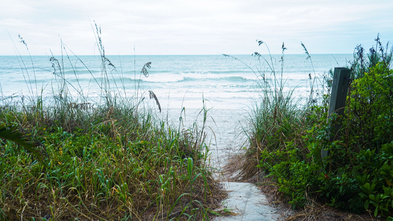 Photo of Others in Sunset Beach